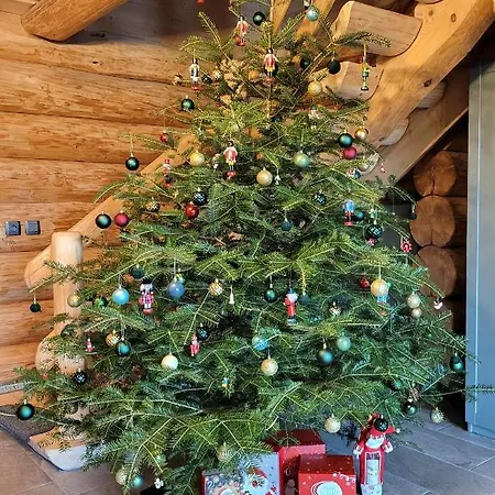 Harghita Log *